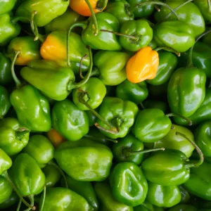 HABANERO